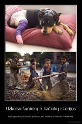 Užkniso šuniukų ir kačiukų istorijos - Pasaulyje vaikai parduodami, prievartaujami, baudauja ir išmetami į konteinerius