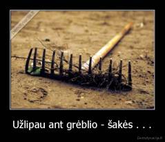 Užlipau ant grėblio - šakės . . . - 