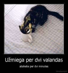 Užmiega per dvi valandas - atsikelia per dvi minutes