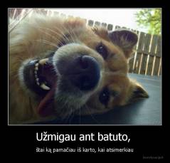 Užmigau ant batuto,  - štai ką pamačiau iš karto, kai atsimerkiau