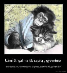 Užmiršti galima tik sapną , gyvenimo  - tikrovės niekada, užmiršti galima tik priešą, bet tikro draugo NIEKADA