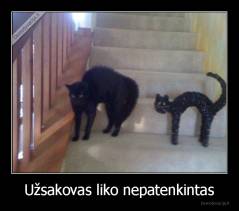 Užsakovas liko nepatenkintas - 