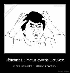 Užsienietis 5 metus gyvena Lietuvoje - moka lietuviškai: "liabas" ir "achoo"