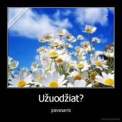 Užuodžiat? - pavasaris