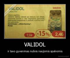VALIDOL - ir tavo gyvenimas nušvis naujomis spalvomis