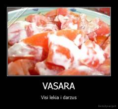 VASARA - Visi lekia i darzus