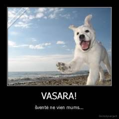 VASARA! - šventė ne vien mums...