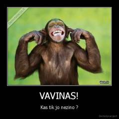 VAVINAS! - Kas tik jo nezino ?