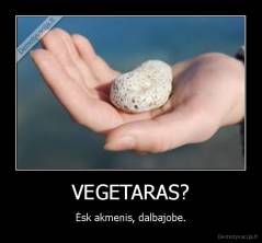 VEGETARAS? - Ėsk akmenis, dalbajobe.