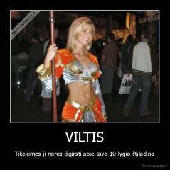 VILTIS - Tikekimes ji nores išgirsti apie tavo 10 lygio Paladina