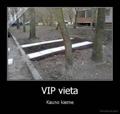 VIP vieta - Kauno kieme
