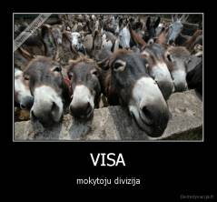 VISA - mokytoju divizija