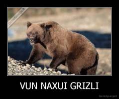 VUN NAXUI GRIZLI - 