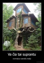 Va čia tai suprantu - normalus namelis medy