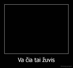 Va čia tai žuvis - 