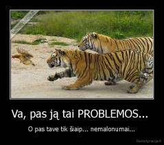 Va, pas ją tai PROBLEMOS...  - O pas tave tik šiaip... nemalonumai...