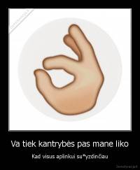 Va tiek kantrybės pas mane liko - Kad visus aplinkui su*yzdinčiau