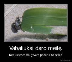 Vabaliukai daro meilę. - Nes kiekvienam gyvam padarui to reikia.