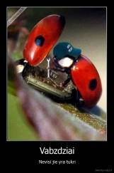 Vabzdziai - Nevisi jie yra tukri