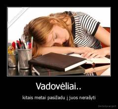 Vadovėliai.. - kitais metai pasižadu į juos nerašyti