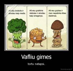 Vafliu gimes - tortu netapsi.