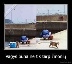 Vagys būna ne tik tarp žmonių - 