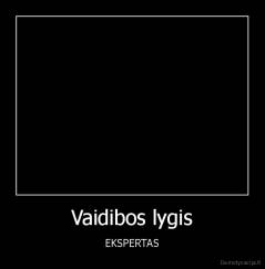 Vaidibos lygis - EKSPERTAS