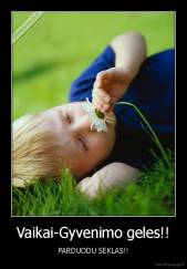 Vaikai-Gyvenimo geles!! - PARDUODU SEKLAS!!