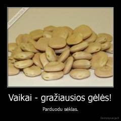 Vaikai - gražiausios gėlės! - Parduodu sėklas.