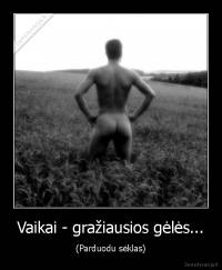 Vaikai - gražiausios gėlės... - (Parduodu sėklas)
