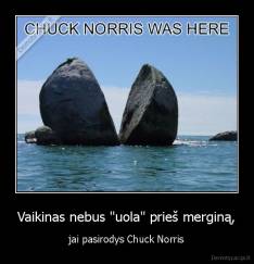 Vaikinas nebus "uola" prieš merginą, - jai pasirodys Chuck Norris