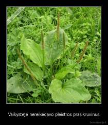 Vaikysteje nereikedavo pleistros prasikruvinus - 