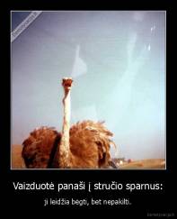 Vaizduotė panaši į stručio sparnus: - ji leidžia bėgti, bet nepakilti.