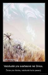 Vaizduotė yra svarbesnė nei žinios.  - Žinios yra ribotos, vaizduotė kuria pasaulį. 