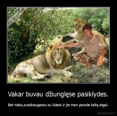 Vakar buvau džiunglęse pasiklydes. - Bet nieko,susidraugavau su liūtais ir jie man parode kelią atgal.