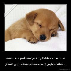 Vakar tėvai padovanojo šunį. Patikrinau ar tikrai - jie turi 9 gyvybes. Po to prisiminiau, kad 9 gyvybes turi katės.