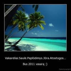 Vakarėliai.Saulė.Paplūdimys.Jūra.Atostogos... - Bus 2011 vasarą :) 