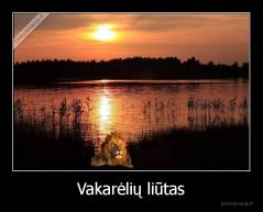 Vakarėlių liūtas - 