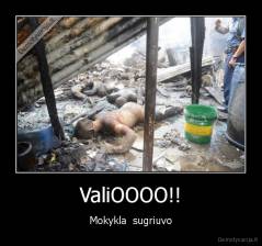 ValiOOOO!! - Mokykla  sugriuvo