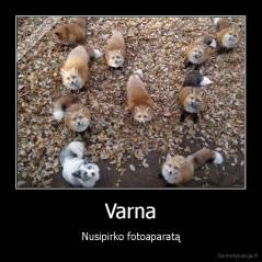 Varna - Nusipirko fotoaparatą