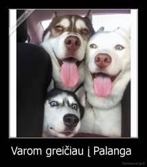 Varom greičiau į Palanga  - 