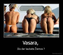 Vasara,  - Jūs dar lauksite Žiemos ? 