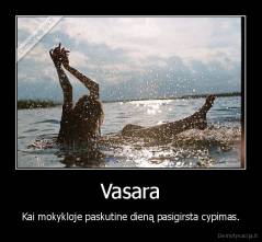 Vasara - Kai mokykloje paskutine dieną pasigirsta cypimas.