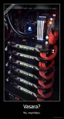 Vasara? - Ne, negirdėjau.