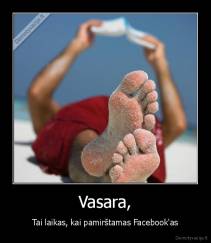 Vasara, - Tai laikas, kai pamirštamas Facebook'as