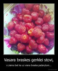 Vasara braskes gerklei stovi, - o ziema bet ka uz viena braske padarytum...