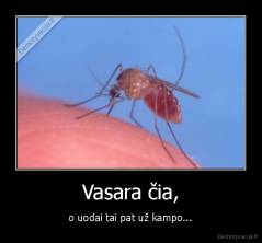 Vasara čia, - o uodai tai pat už kampo...