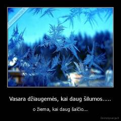 Vasara džiaugemės, kai daug šilumos..... - o žiema, kai daug šalčio...