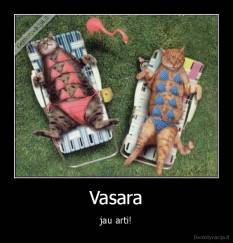 Vasara - jau arti!