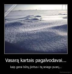 Vasarą kartais pagalvodavai... - kaip gerai būtų įkritus i tą sniego pusnį...